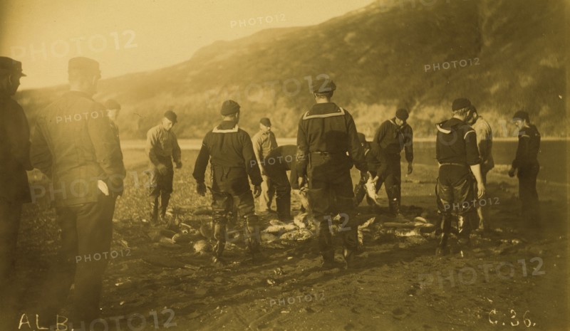 Men removing fish from seine, Baileys Harbor,1894 or 1895. Creator: Alfred Lee Broadbent.