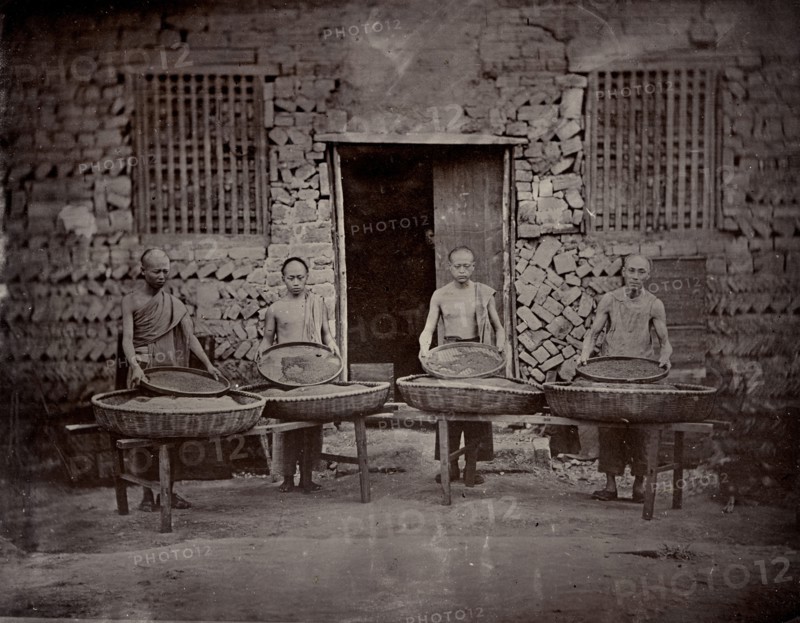 Tea sorting, end of 19th century. Creator: Nikolai Apollonovich Charushin.