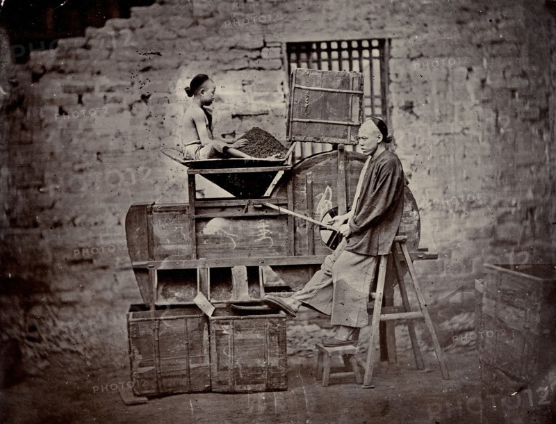 Tea sorting, end of 19th century. Creator: Nikolai Apollonovich Charushin.
