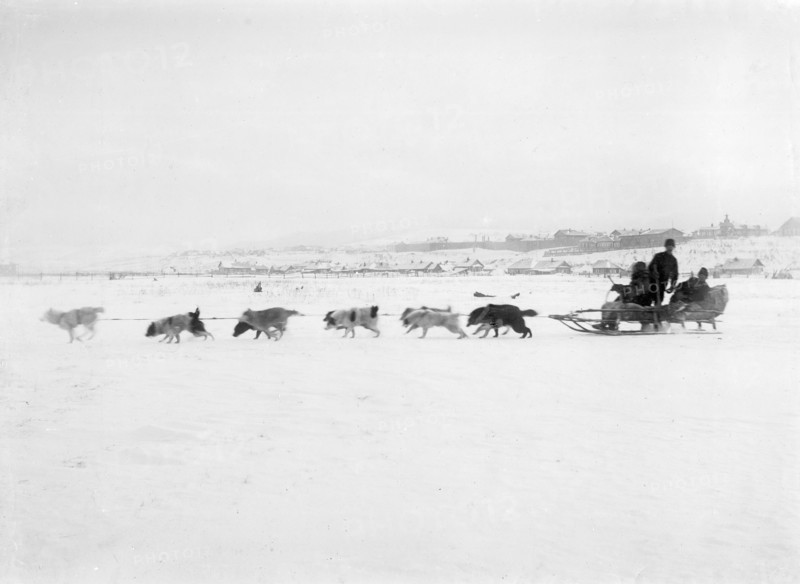 Driving Dogs, 1890. Creator: Ivan Nikolaevich Krasnov.
