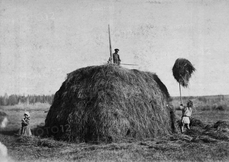 Haymaking, late 19th cent - early 20th cent. Creator: I Popov.