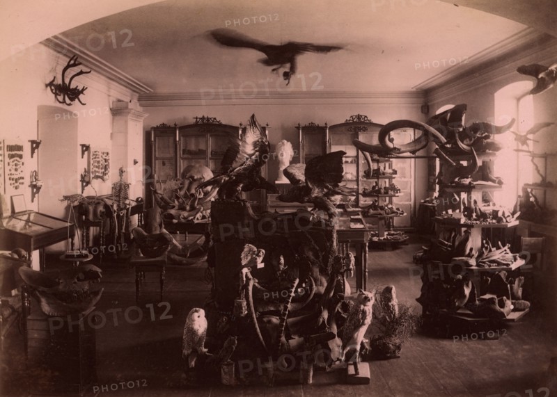 Paleontological and Archaeological Objects Collected from the Tyumen' Area., 1889. Creator: N Terekhov.