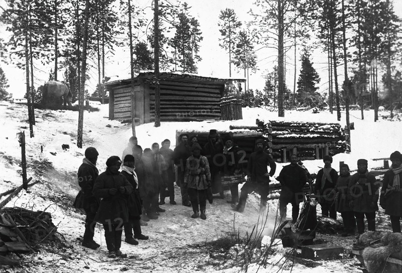 In the woods, 1890. Creator: Unknown.