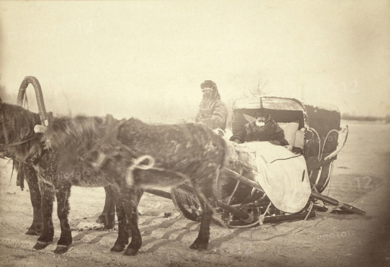 A Siberian posting sledge on a cold morning, between 1885 and 1886. Creator: George Albert Frost.