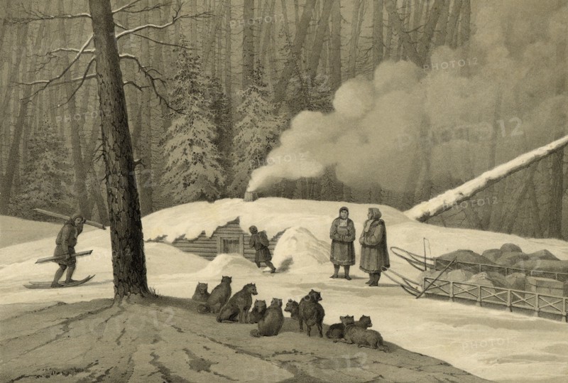 Overnight in the Forest (in the Northern Forests), 1856. Creator: Ivan Dem'ianovich Bulychev.