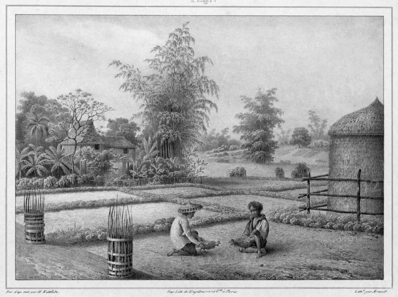 View of the Interior, Luzon Island, Philippines, 19th century. Creators: Friedrich Heinrich Kittlitz, Victor Adam, Godefroy Engelmann.