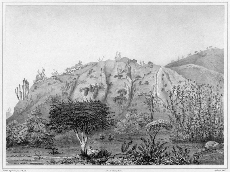 View of the Outskirts of Valparaiso, Chile, 19th century. Creators: Alexander Postels, Leon Jean-Baptiste Sabatier.