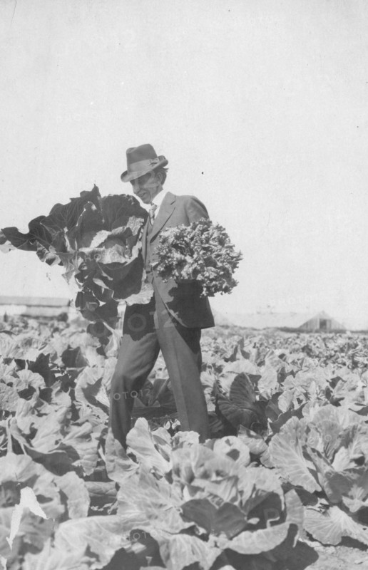 Frank G. Carpenter on Mr. Rickert's farm, between c1900 and 1916. Creator: Unknown.