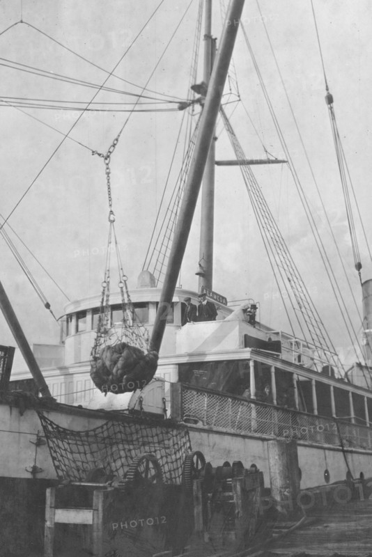 Loading copper on ship, between c1900 and 1916. Creator: Unknown.