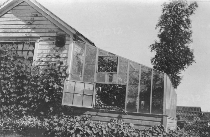 Mrs. Frank Clark's green house, between c1900 and 1916. Creator: Unknown.