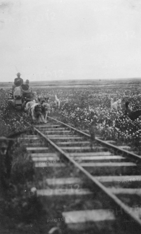 Pupmobile, between c1900 and 1916. Creator: Unknown.