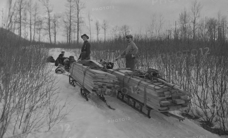 Hauling lumber by dog sleds, between c1900 and c1930. Creator: Unknown.