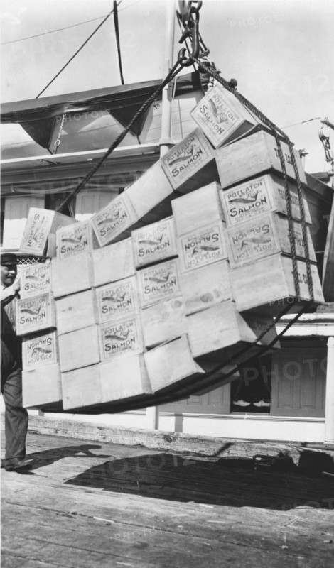Loading boxes of salmon Petersburg, between c1900 and c1930. Creator: Unknown.