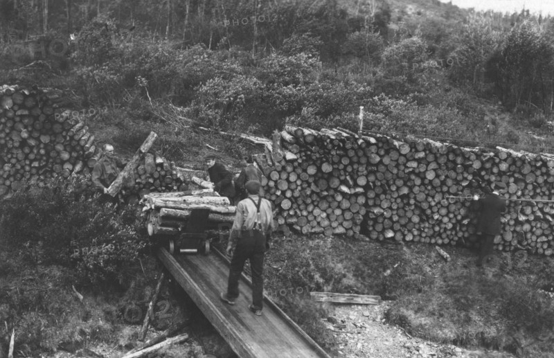 Wood chopper's station with fuel for steamers on the Upper Yukon, between c1900 and c1930. Creator: Unknown.