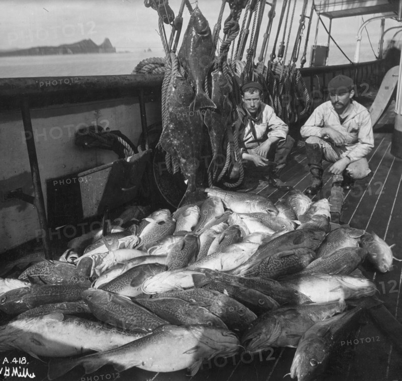 Fishing boat, cod and halibut, before 1927. Creator: Unknown.