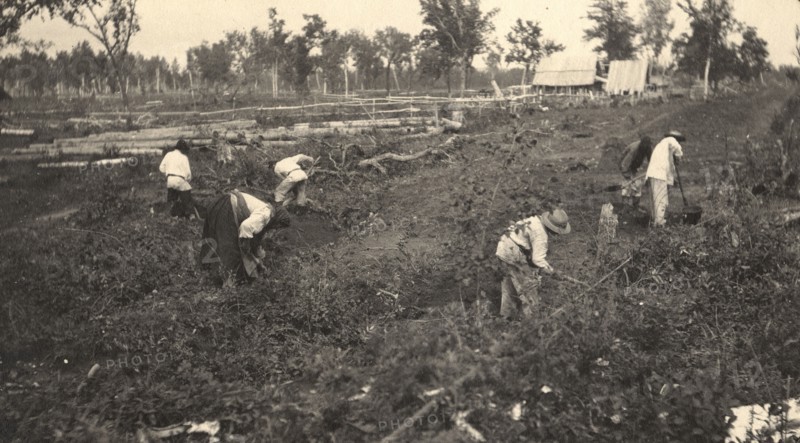 View of the road construction near the village of Practichi, 1909. Creator: Vladimir Ivanovich Fedorov.