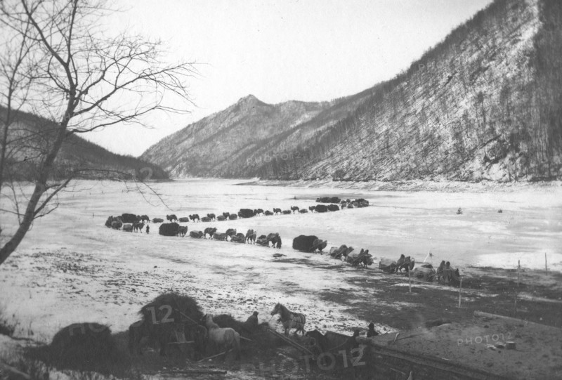 Movement of a caravan of camels on the ice of the Zeya River near the mouth of the Gilyuy River,1909 Creator: Vladimir Ivanovich Fedorov.