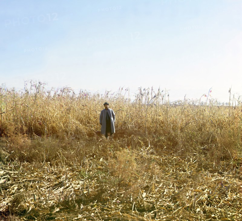 Dzhugara, Golodnaia Steppe, between 1905 and 1915. Creator: Sergey Mikhaylovich Prokudin-Gorsky.