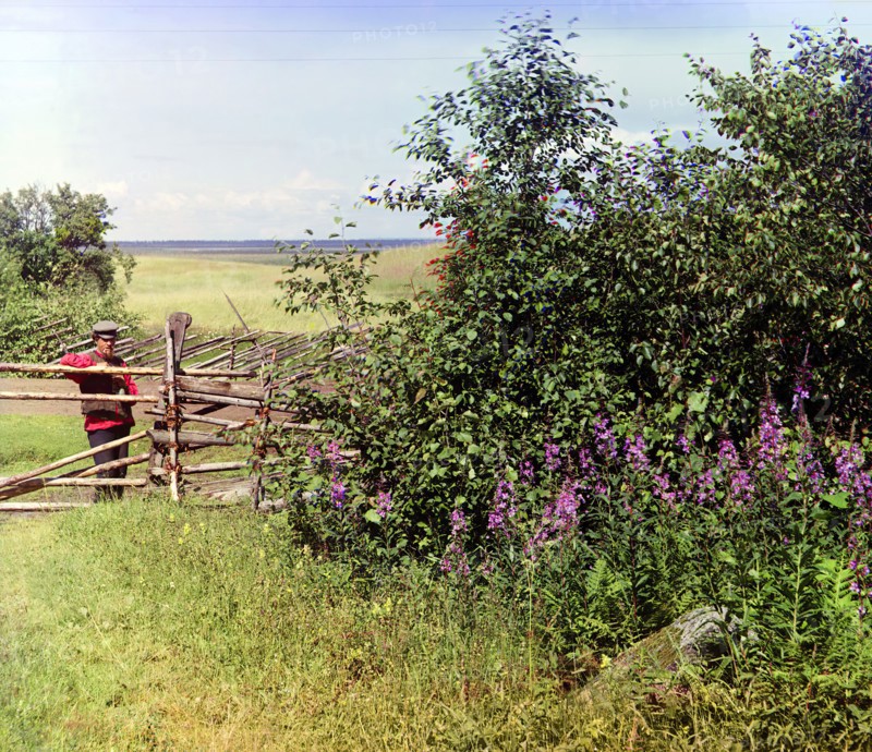 Man standing near fence and bushes, 1909. Creator: Sergey Mikhaylovich Prokudin-Gorsky.