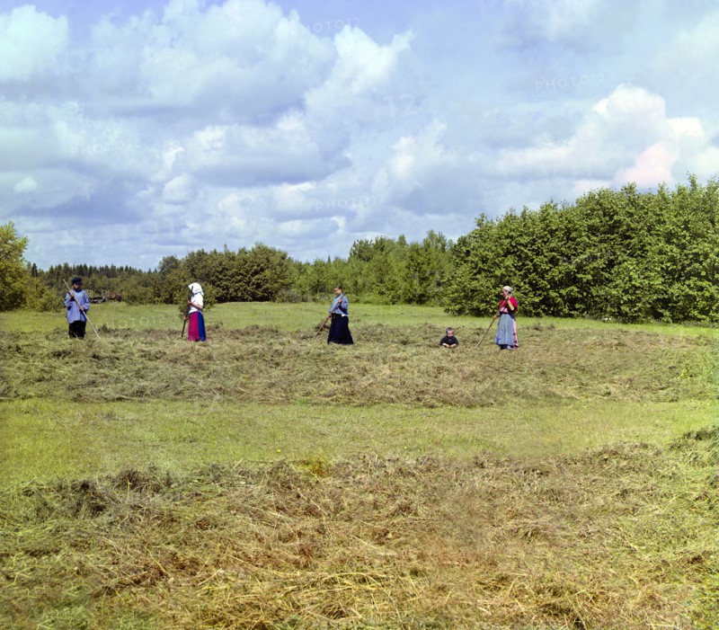 Haying [Russian Empire], 1909. Creator: Sergey Mikhaylovich Prokudin-Gorsky.