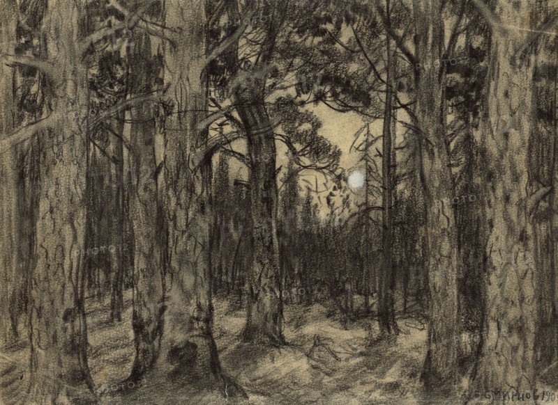 Deep in the Woods of the Krasnoyarsk Taiga, 1904. Creator: Boris Vasilievich Smirnov.