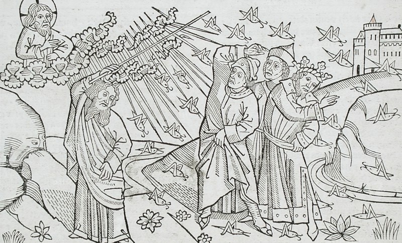 God Sends the Locusts to Egypt (recto); God Sends Hail to Egypt (verso), published 1483. Creator: Unknown.