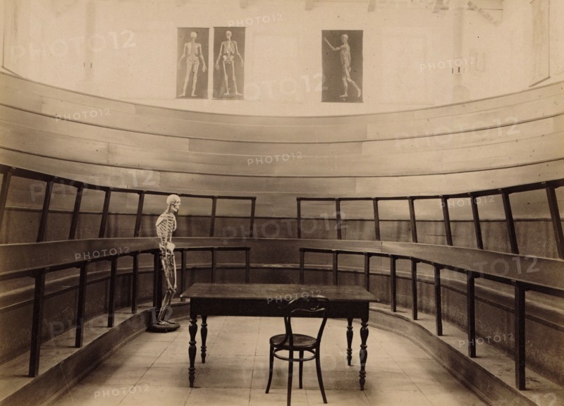 Part of the amphitheatre of the two-light anatomical auditorium, 1890. Creator: Unknown.