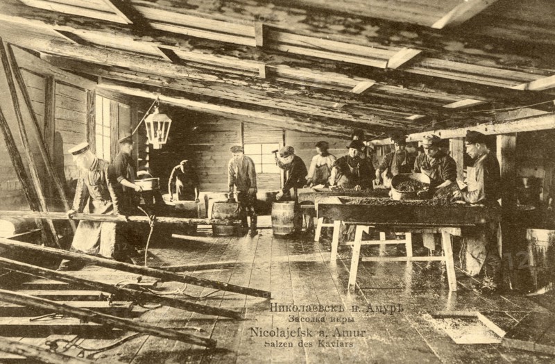 Nikolaevsk-on-Amur. Salting caviar, 1900. Creator: Unknown.