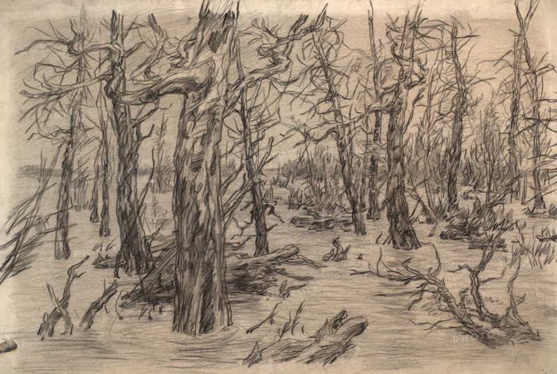 River Vakh, 1928. Creator: Dmitrii Innokent'evich Karatanov.