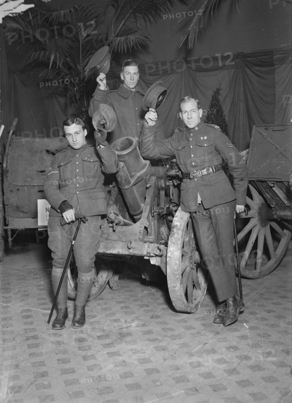 Howitzer at Hero Land, 1917. Creator: Bain News Service.