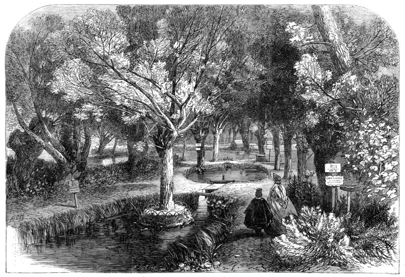 Experimenting ponds at the Huningue Fish Nurseries, France, 1864. Creator: Mason Jackson.