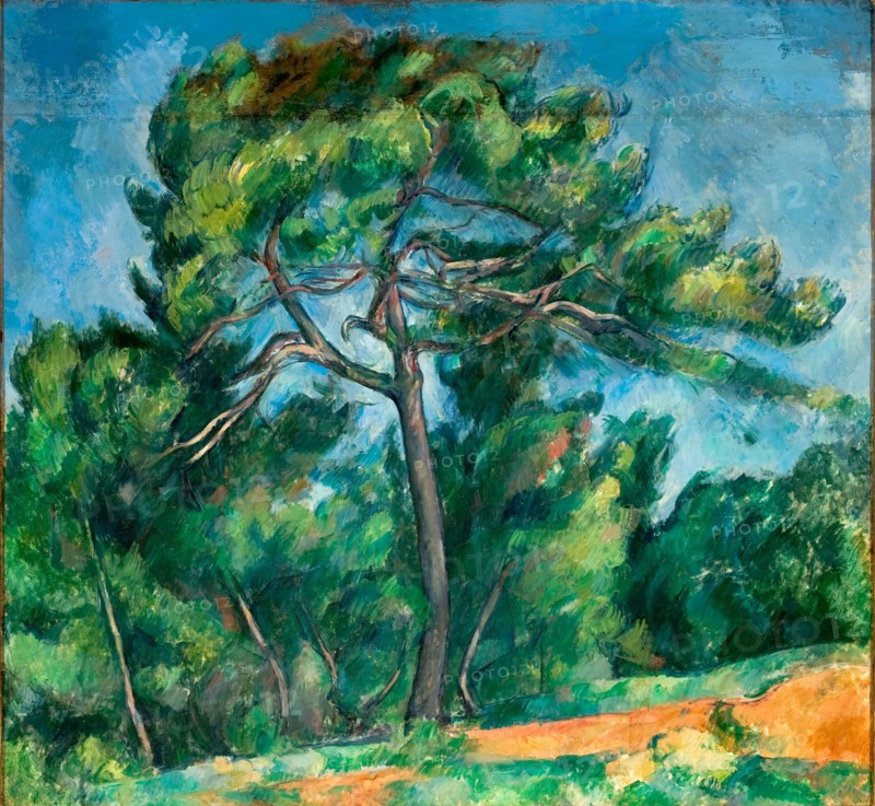 The Great Pine (Le Grand Pin), 1890-1896. Creator: Cézanne, Paul (1839-1906).