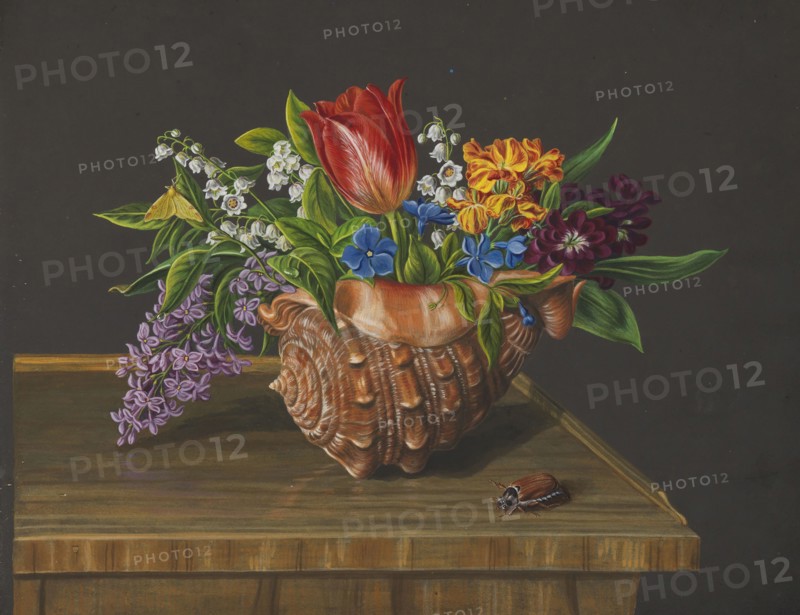 From the album "Flora", c.1848. Creator: Wangenheim, Marie von (1814-1891).