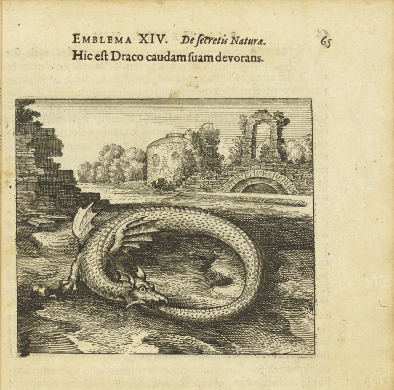 Emblem 14. This is the dragon eating its own tail. From "Atalanta fugiens" by Michael Maier, 1618. Creator: Merian, Matthäus, the Elder (1593-1650).