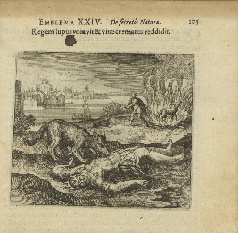 Emblem 24. The wolf ate the king, and how he burned the life back to him, 1618. Creator: Merian, Matthäus, the Elder (1593-1650).