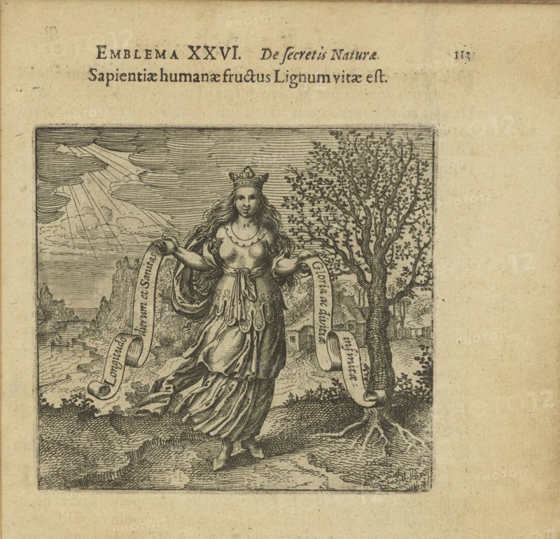Emblem 26. The fruit of human wisdom is the wood of life, 1618. Creator: Merian, Matthäus, the Elder (1593-1650).