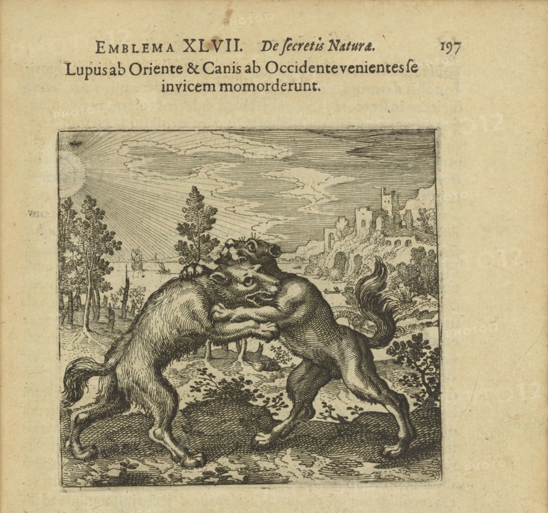 Emblem 47. The wolf coming from the staircase and the dog coming from the staircase have..., 1816. Creator: Merian, Matthäus, the Elder (1593-1650).