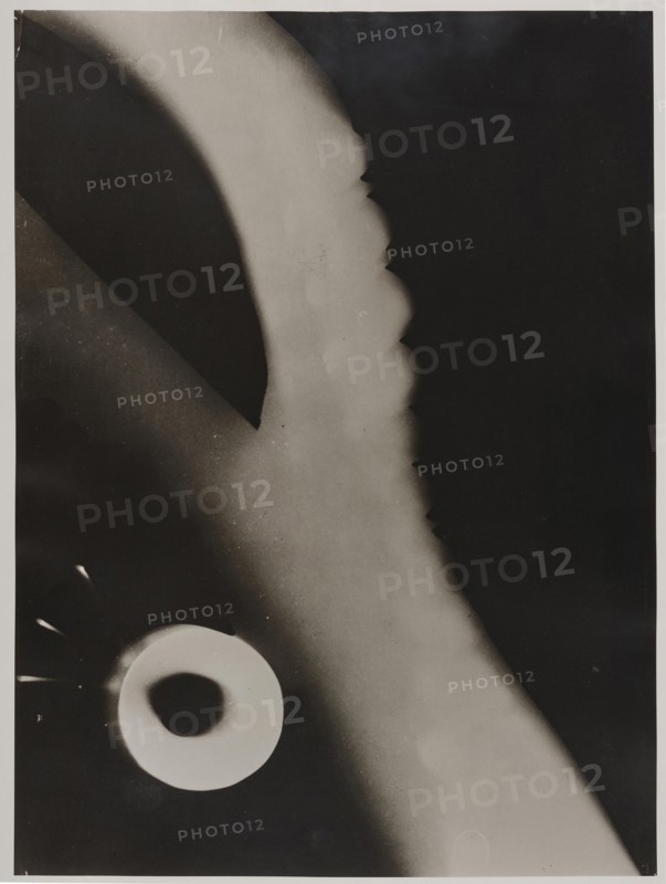 Photogram, c.1925. Creator: Moholy-Nagy, Laszlo (1895-1946).