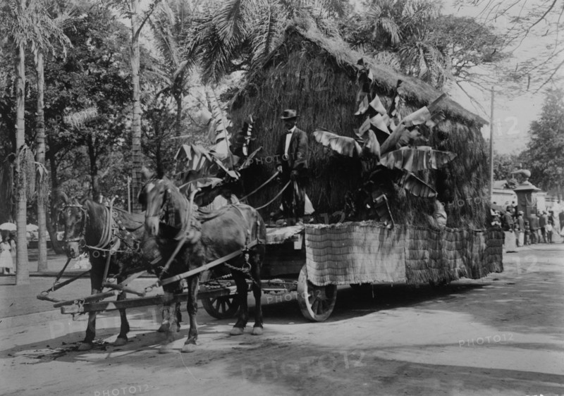 An old Hawaiian dwelling - float in Floral Parade, Honolulu, 1910. Creator: Bain News Service.