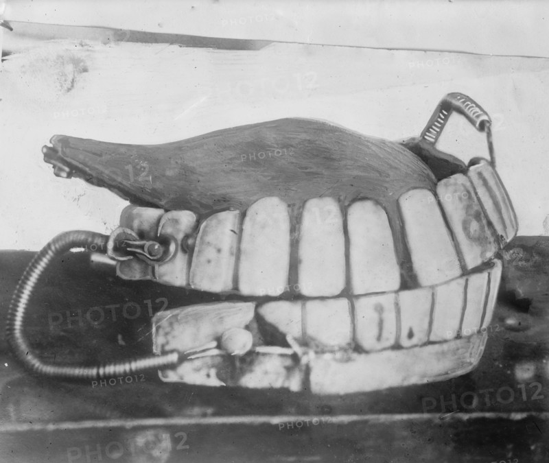 George Washington's teeth, between c1910 and c1915. Creator: Bain News Service.
