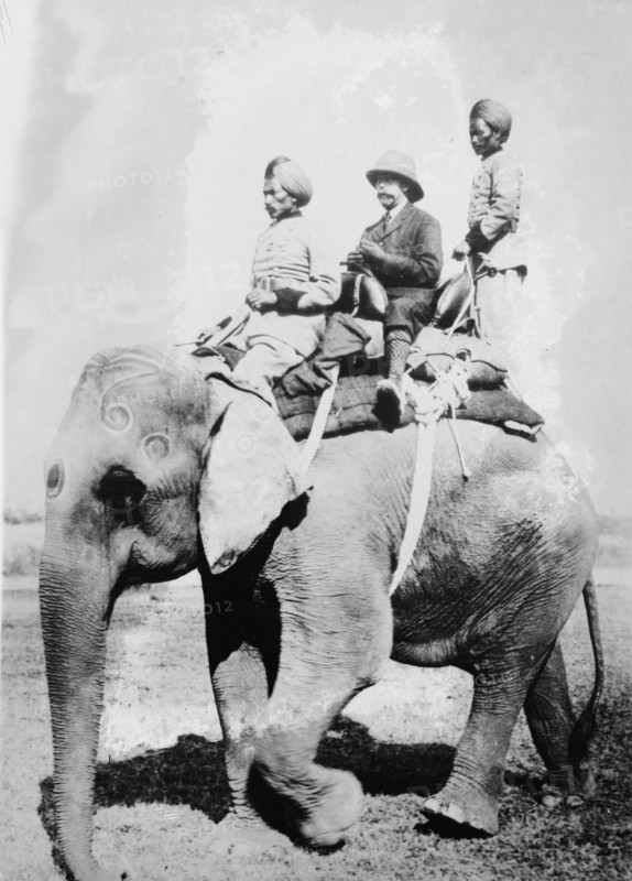 King Emperor's Hunt in India, 1911. Creator: Bain News Service.