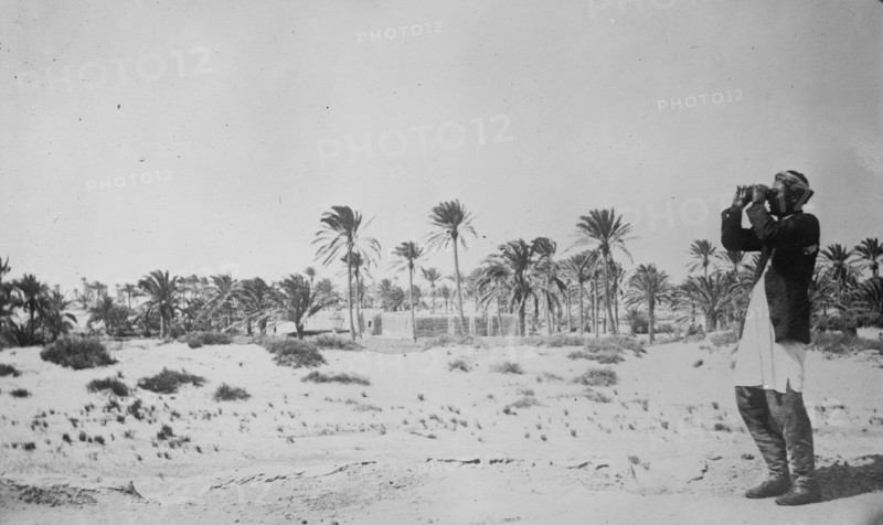 Oasis of Misturata, between c1910 and c1915. Creator: Bain News Service.