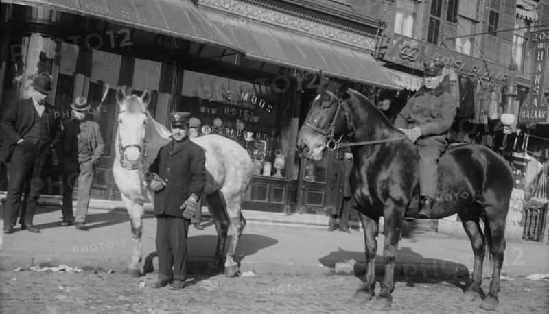 Fire engine horses, between c1910 and c1915. Creator: Bain News Service.
