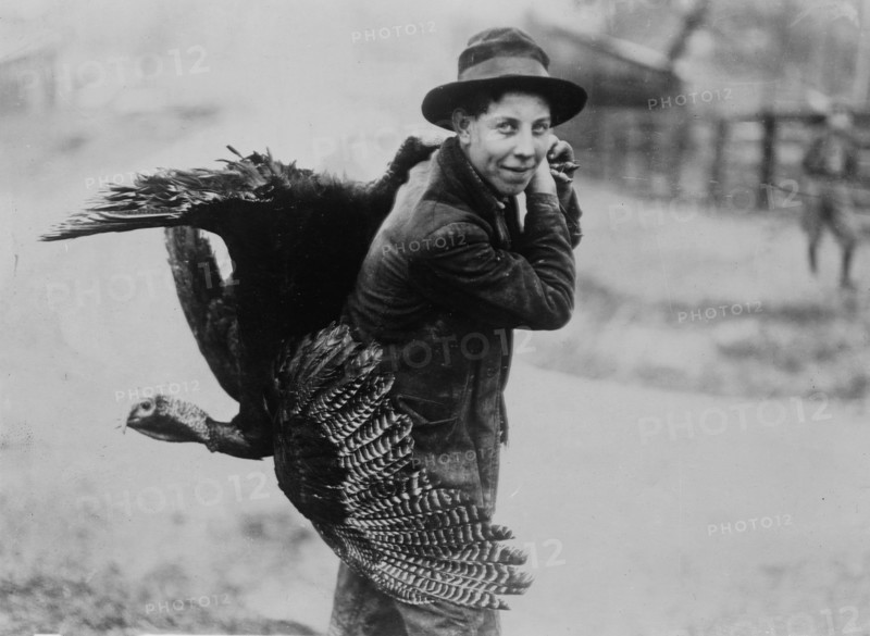 Thanksgiving turkey, between c1910 and c1915. Creator: Bain News Service.