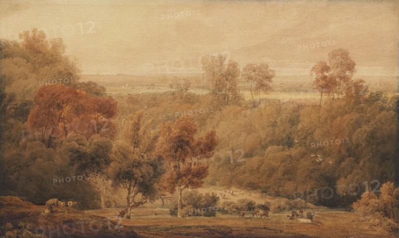 An Extensive Wooded Landscape With Cattle In The Foreground, early 19th century. Creator: Amelia Long.