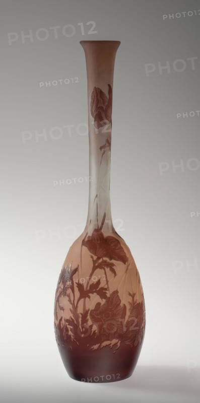 Cameo Vase, c1900-1915. Creator: Emile Gallé.