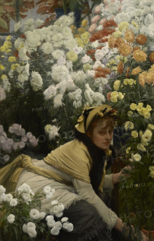 Chrysanthemums, c1874-76. Creator: James Tissot.