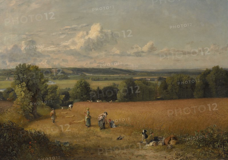 The Wheat Field, 1816. Creator: John Constable.