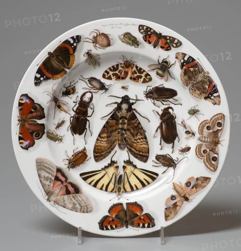 Plate, 1840. Creator: Unknown.
