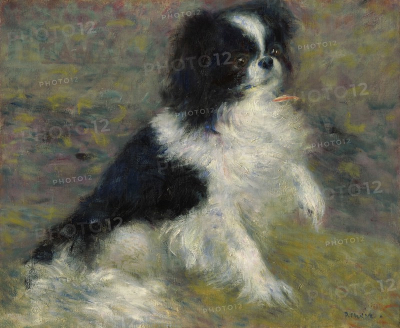 Tama, The Japanese Dog, c1876. Creator: Pierre-Auguste Renoir.